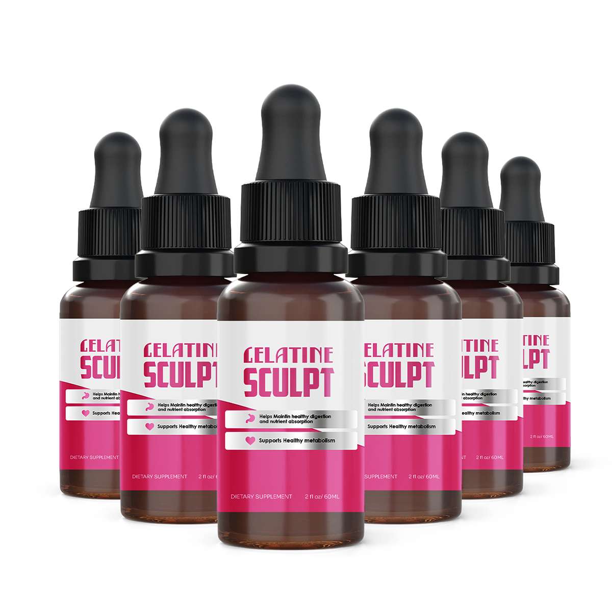 Gelatine Sculpt buy from official website
